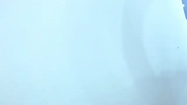 Snapshot of sebastian_colle chatting on February 26, 12:03 pm sebastian colle online show from February 26, 12:03 pm