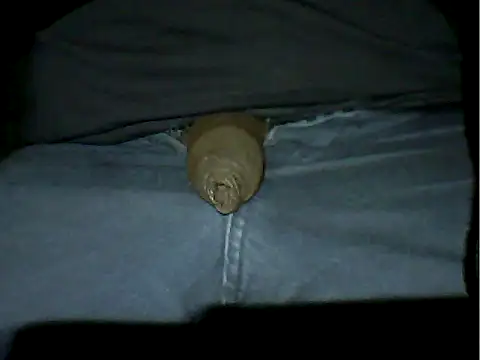 Snapshot of Mthondo-qinile chatting on November 18, 9:30 pm Mthondo-qinile online show from November 18, 9:30 pm