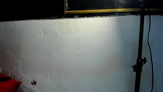 couple hotfox online show from December 22, 1:02 am