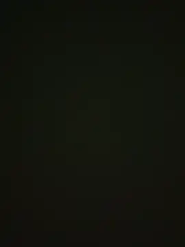 Snapshot of 464a-err chatting on November 12, 4:40 pm 464a-err online show from November 12, 4:40 pm