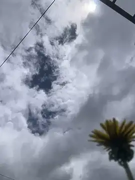 Snapshot of MaxxxSteil chatting on November 12, 3:56 pm MaxxxSteil online show from November 12, 3:56 pm