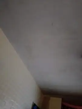 JairElGrillo online show from November 11, 10:10 pm