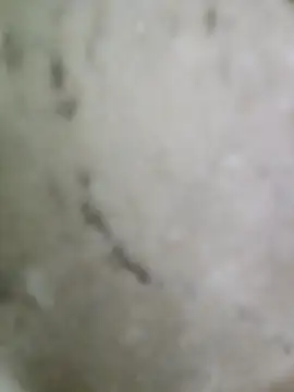 pussyfatasss online show from September 27, 5:23 am