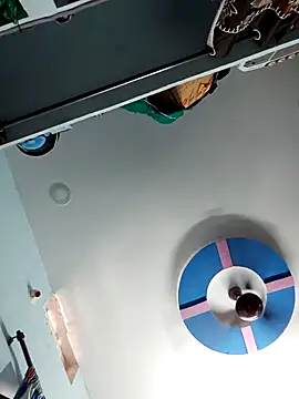 wildfun  online show from October 23, 6:56 am