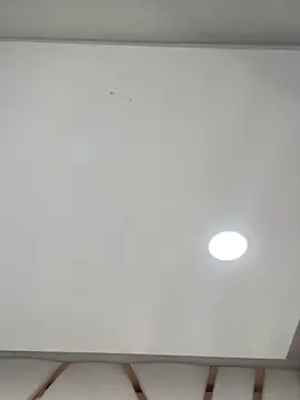 Madisson-Rivas online show from February 24, 8:29 pm