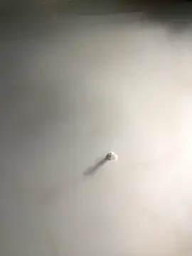 Snapshot of 1Zoey101 chatting on December 18, 6:19 am 1Zoey101 online show from December 18, 6:19 am