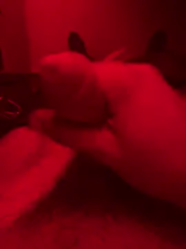 ruchacz24 online show from October 14, 1:50 am