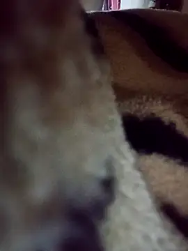 Snapshot of karabokau21 chatting on September 26, 10:25 pm karabokau21 online show from September 26, 10:25 pm