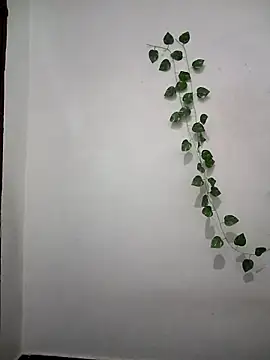 Neha-Bhabhi-Rasily online show from April 6, 4:52 pm