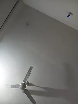 Neha-Bhabhi-Rasily online show from April 14, 8:26 pm