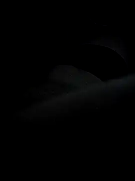 waldik083 online show from December 4, 12:20 am