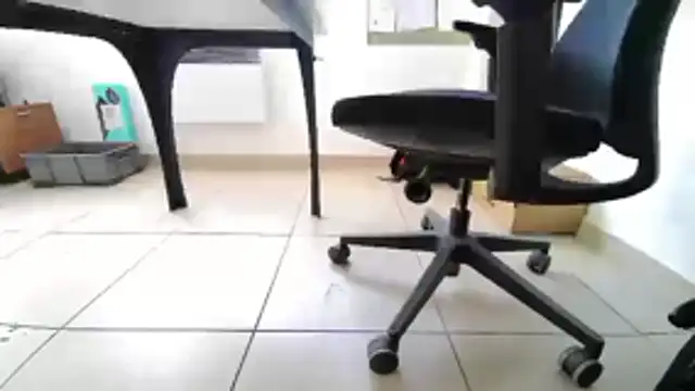 GM51-1988 online show from April 20, 4:10 pm