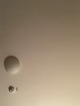 Snapshot of Saysay-7 chatting on November 20, 11:26 pm Saysay-7 online show from November 20, 11:26 pm