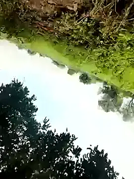 himvilohi08 online show from October 4, 5:27 am