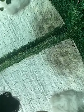 val zx online show from March 22, 6:44 pm