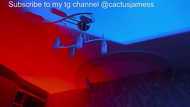 Snapshot of Cactus__James chatting on November 21, 11:58 pm Cactus James online show from November 21, 11:58 pm