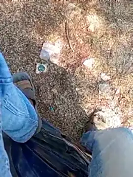 A-1PLAYBOY0 online show from January 13, 6:51 am