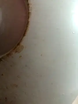 Snapshot of Dabunation chatting on October 8, 6:11 am Dabunation online show from October 8, 6:11 am