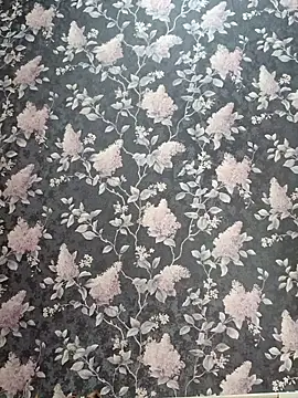 Snapshot of Dari_Toy_ chatting on November 7, 1:38 am Dari Toy online show from November 7, 1:38 am