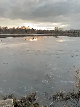 Snapshot of elliot_scott chatting on October 22, 10:37 am elliot scott online show from October 22, 10:37 am