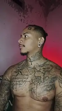 David tatto1 online show from February 5, 3:44 am