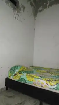 David tatto1 online show from April 16, 3:07 am