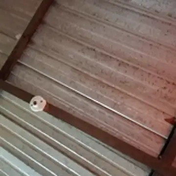 Ortiz3404 online show from April 5, 2:58 pm