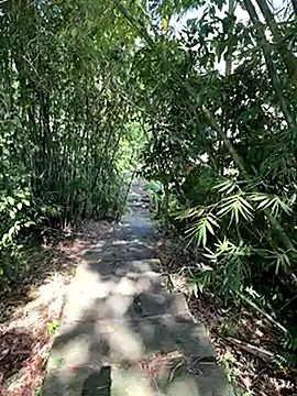 zack23088 online show from October 18, 2:03 am