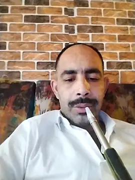 salimbasha online show from November 30, 8:18 am