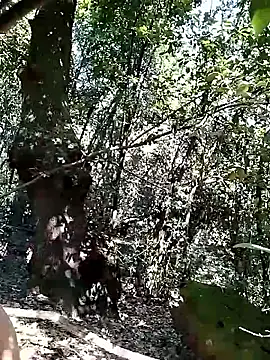 KalendaXL online show from April 20, 11:57 am