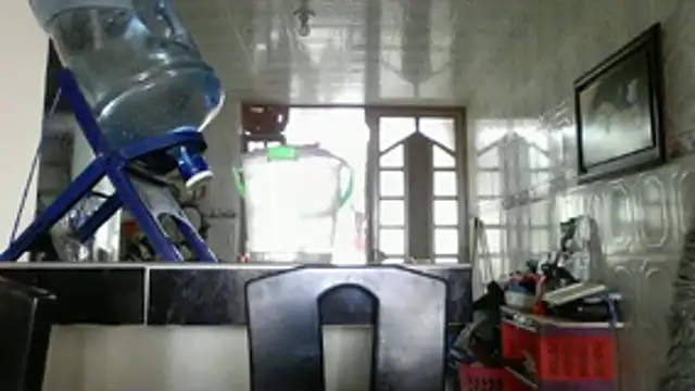 ALANA 150 online show from January 19, 1:04 pm