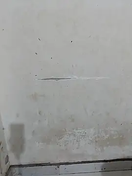 Snapshot of laleela1 chatting on October 8, 12:25 pm laleela1 online show from October 8, 12:25 pm