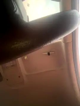 Snapshot of silverbay-456 chatting on November 4, 1:05 am silverbay-456 online show from November 4, 1:05 am