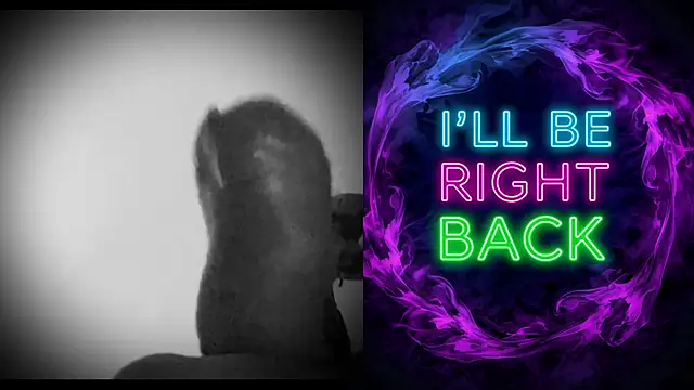 DjDiCKmannOnE online show from January 12, 10:37 pm