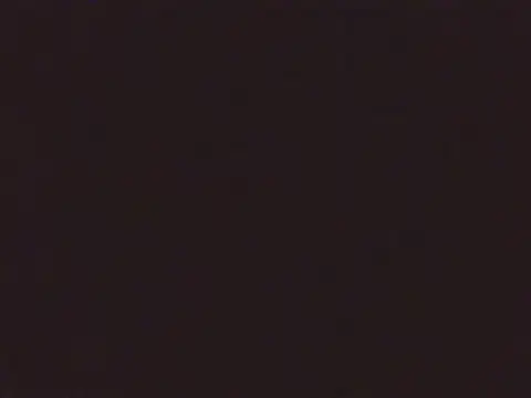 Laurenflex online show from October 3, 2:03 pm