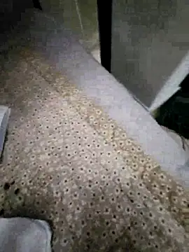 Snapshot of zzangzoa chatting on September 21, 2:02 am zzangzoa online show from September 21, 2:02 am