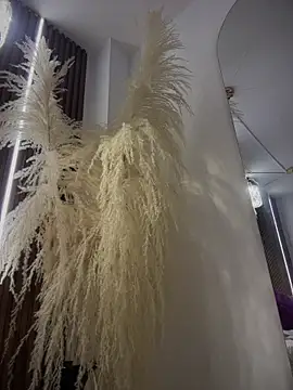 Snapshot of Anita-vega chatting on December 19, 9:11 pm Anita-vega online show from December 19, 9:11 pm