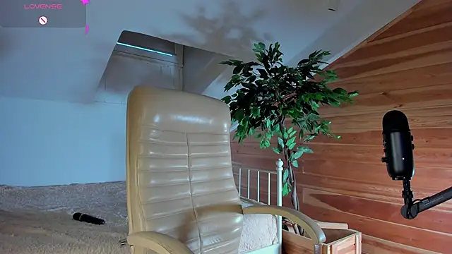 Snapshot of AuroraShoww chatting on November 20, 12:49 pm AuroraShoww online show from November 20, 12:49 pm