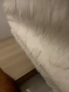 DoctorArabe3 online show from February 12, 11:05 am