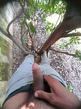 Desi Horny Boys online show from November 18, 5:45 am