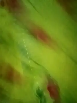 Shiya janu online show from October 27, 11:14 am