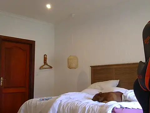 Snapshot of TroyDieselXXX chatting on November 23, 6:24 am TroyDieselXXX online show from November 23, 6:24 am