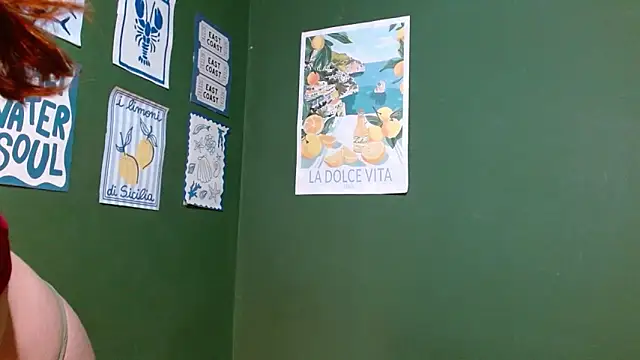 Snapshot of Roxiehood chatting on December 14, 10:25 pm Roxiehood online show from December 14, 10:25 pm