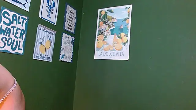 Snapshot of Roxiehood chatting on December 18, 1:55 am Roxiehood online show from December 18, 1:55 am