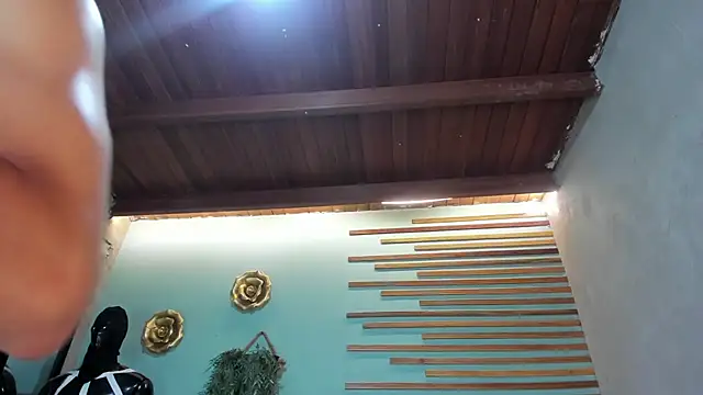 jharol cardonaa online show from November 26, 1:28 am