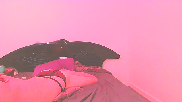 Snapshot of straightozgoesdwn chatting on November 12, 6:08 pm straightozgoesdwn online show from November 12, 6:08 pm