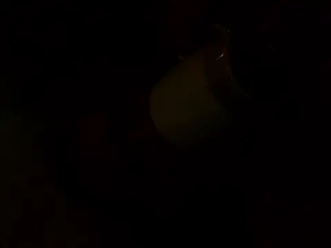 Snapshot of PointXXL chatting on December 16, 2:33 pm PointXXL online show from December 16, 2:33 pm