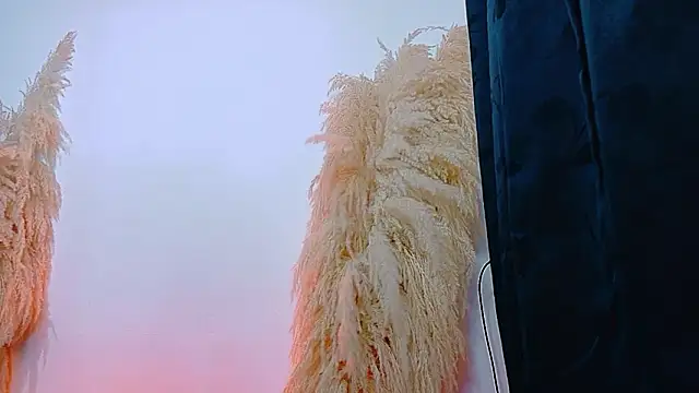 JulietaDavis online show from February 22, 9:41 am