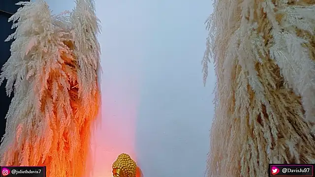 JulietaDavis online show from April 18, 9:35 am