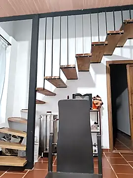 Hiroshi Shen online show from November 17, 11:27 am